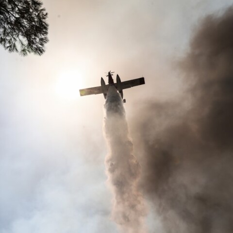 Στιγμιότυπο από τη φωτιά στη Σταμάτα © EUROKINISSI / ΒΑΣΙΛΗΣ ΡΕΜΠΑΠΗΣ