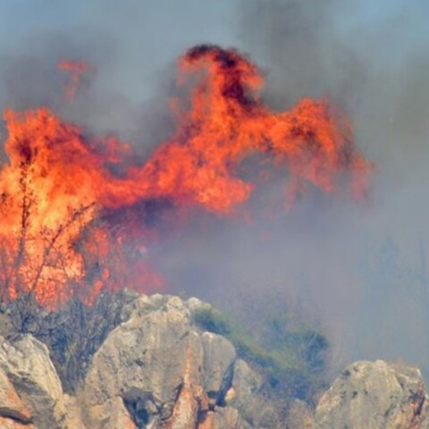 Ακόμη μία πυρκαγιά είναι σε εξέλιξη στην Αττική, σε δασική έκταση στον Βύρωνα, κοντά στην Καισαριανή © AΠΕ / ΜΠΟΥΓΙΩΤΗΣ ΕΥΑΓΓΕΛΟΣ