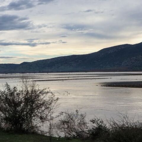 Πηνειός ποταμός 