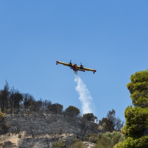 Φωτιά στην Αχαϊα: Καλύτερη η κατάσταση στα Ζήρια -Ενισχύθηκαν τα εναέρια μέσα – Ποια εικόνα παρουσιάζει αυτή τη στιγμή η περιοχή 
