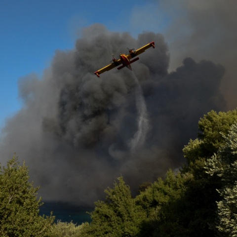 Όλος ο κρατικός μηχανισμός δίνει τη δική του μάχη, τόνισε ο υφυπουργός Πολιτικής Προστασίας Νίκος Χαρδαλιάς, μιλώντας για τις φωτιές των τελευταίων 24ωρων