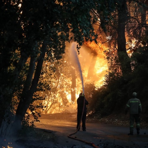 Φωτιά στις Αδάμες