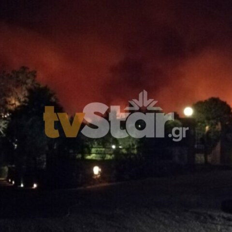 Φωτιά στην Εύβοια