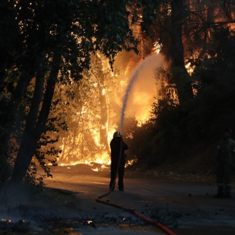 Φωτιά στη Βαρυμπόμπη © EUROKINISSI