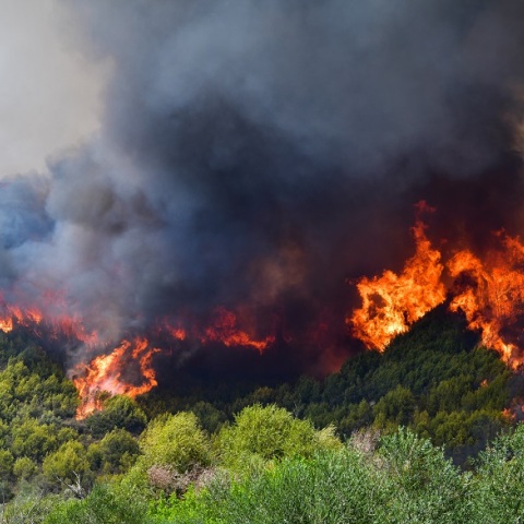 Φωτιά στην Αρχαία Ολυμπία