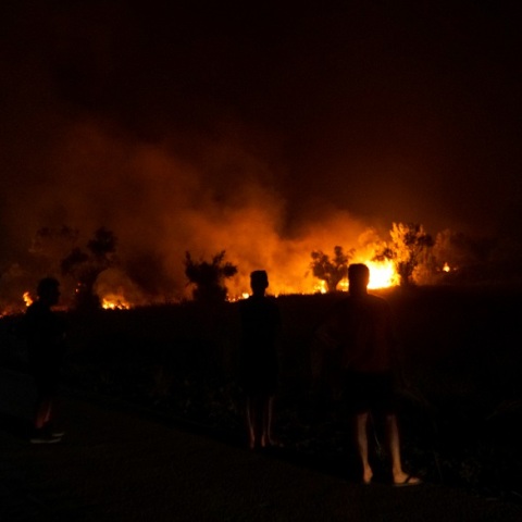 Φωτιά μαίνεται στην Αρχαία Ολυμπία