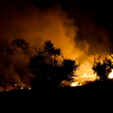 Μαίνεται η πυρκαγιά στην Αρχαία Ολυμπία - Ολονύχτια μάχη ετοιμάζονται να δώσουν οι πυροσβέστες