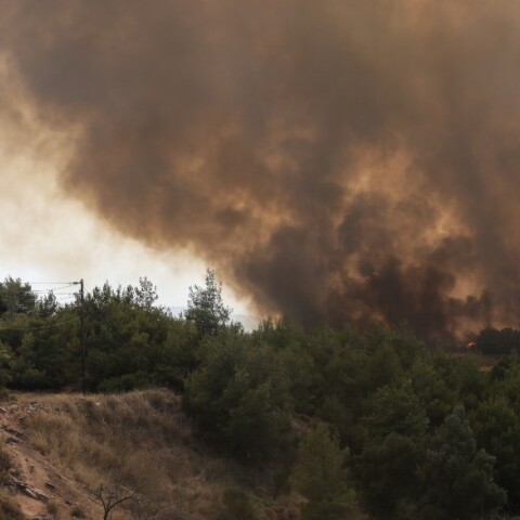 Φωτιά στη Βαρυμπόμπη
