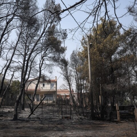 Φωτιά στη Βαρυμπόμπη © EUROKINISSI