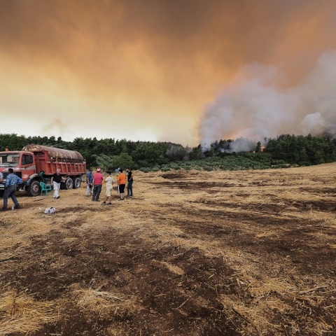 Φωτιά στην Εύβοια - Ανεξέλεγκτα τα πύρινα μέτωπα