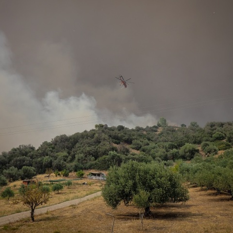 Στιγμιότυπο από την επιχείρηση κατάσβεσης της πυρκαγιάς στην Εύβοια