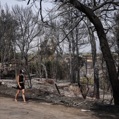 Φωτιά στη Βαρυμπόμπη © EUROKINISSI