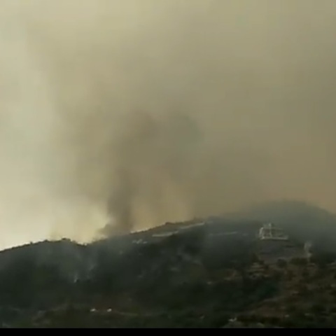 Φωτιά στη Μεσσηνία