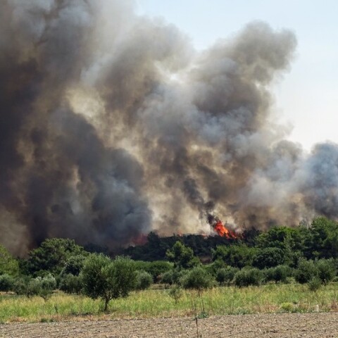 Νέα φωτιά στη Ρόδο © EUROKINISSI