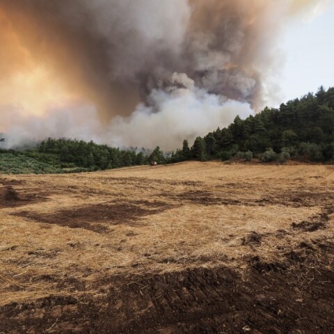 Φωτιά στην Εύβοια - Ανεξέλεγκτα τα πύρινα μέτωπα © EUROKINISSI / ΘΟΔΩΡΗΣ ΝΙΚΟΛΑΟΥ  