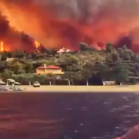 Φωτιά στον οικισμό Ροβιές στην Εύβοια