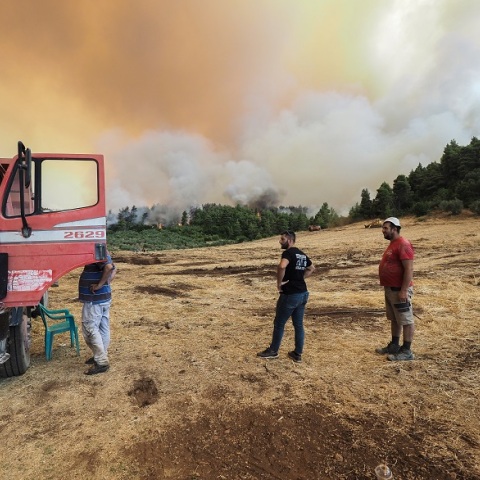 Φωτιά στην Εύβοια