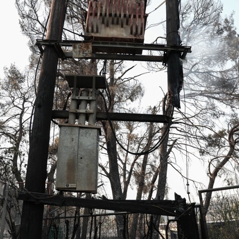 Φωτιά στη Βαρυμπόμπη