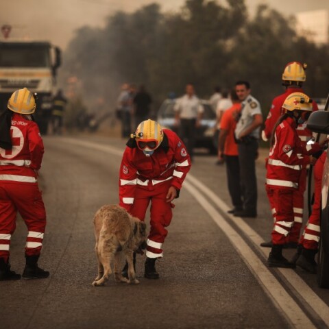 Φωτιά στη Βαρυμπόμπη: Διεκόπη η κυκλοφορία μετά τις αναζωπυρώσεις © EUROKINISSI
