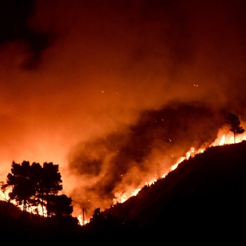 Πύρινο μέτωπο στις Αφίδνες