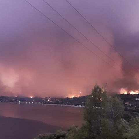 Φωτιά στην Εύβοια 