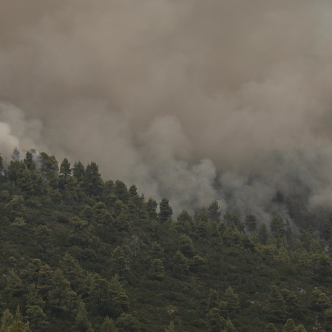 Φωτιά στην Εύβοια - Ανεξέλεγκτο μέτωπο, συνεχείς οι προσπάθειες κατάσβεσης