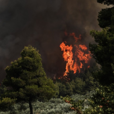 Φωτιά στην Εύβοια - Μαίνεται το πύρινο μέτωπο