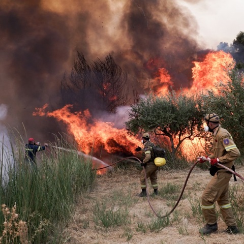 Πυροσβέστες επιχειρούν σε πύρινο μέτωπο