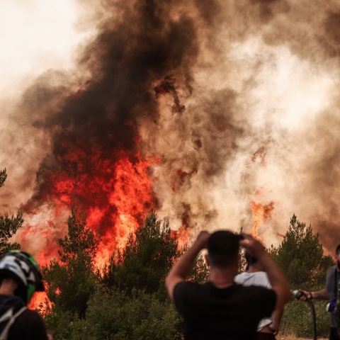 Φωτιά στο Κρυονέρι: Έκλεισε η Αθηνών - Λαμίας