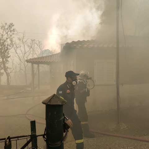 Φωτιά στον Λάλα Ηλείας