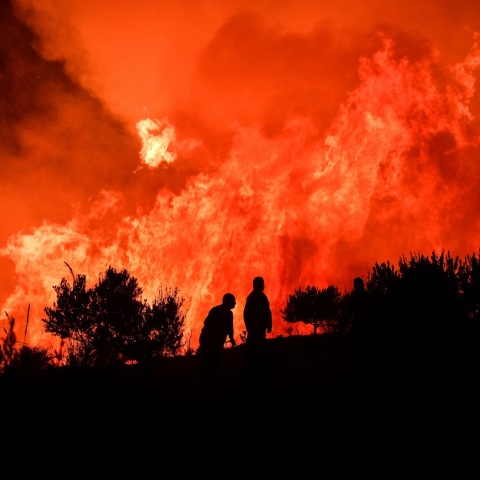 Πυρκαγιά στην περιοχή Κορυφή του δήμου Πύργου, στην Ηλεία τα ξημερώματα της Τρίτης 27 Ιουλίου 2021