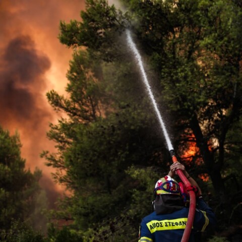 Φωτιά στη Βαρυμπόμπη © EUROKINISSI