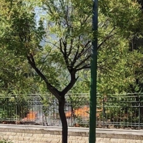 Φωτιά στο Πεδίο του Άρεως - Συνελήφθη γυναίκα για εμπρησμό