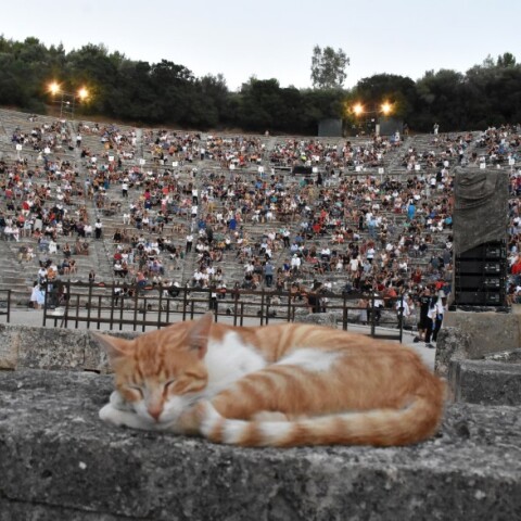 To αρχαίο θέατρο της Επιδαύρου © UNSPLASH