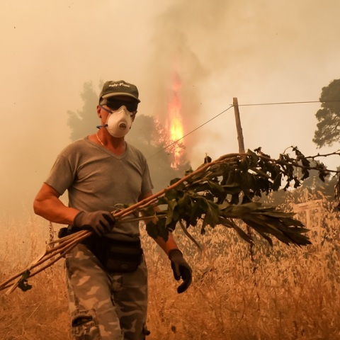Δραματική κατάσταση με τις φωτιές στην Εύβοια - Μάχη με τις φλόγες για 4η ημέρα