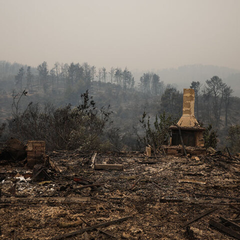 Η φωτιά στην Εύβοια έκαψε σπίτια