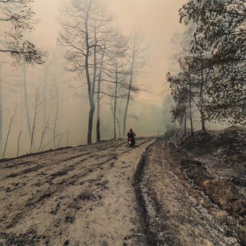 Φωτιά στην Εύβοια © EUROKINISSI