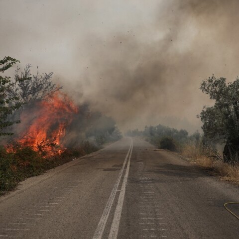 Η φωτιά στην Εύβοια