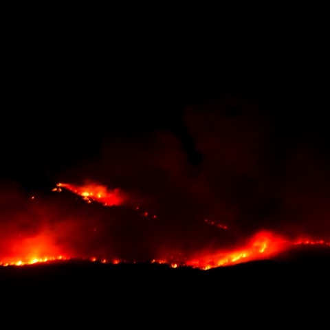 Φωτιά στη Φωκίδα