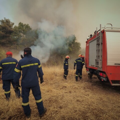 Φωτιά στην Εύβοια