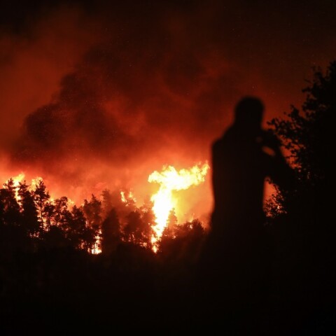 Φωτιά στην Εύβοια