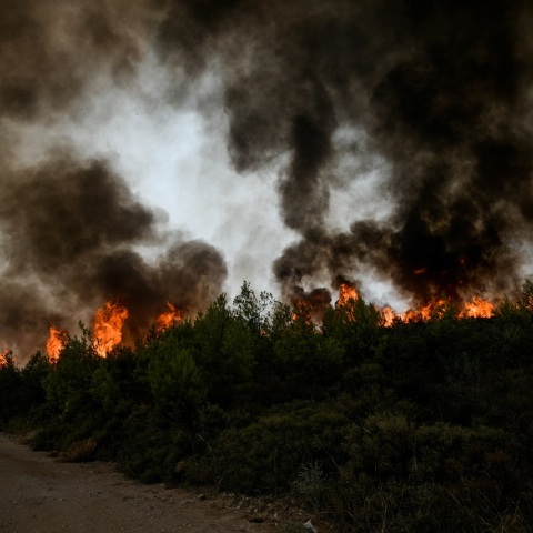 Στιγμιότυπο από τις φωτιές στη Βόρεια Αττική