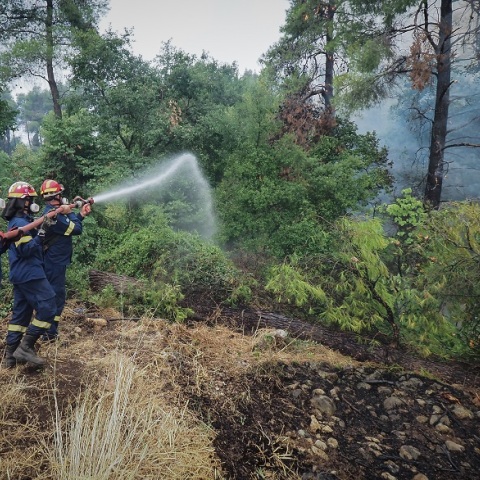 Πυροσβέστες επιχειρούν για την κατάσβεση πυρκαγιάς