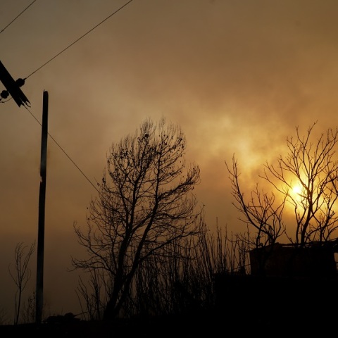 Φωτιές στο χωριό Λάλας στην Ηλεία