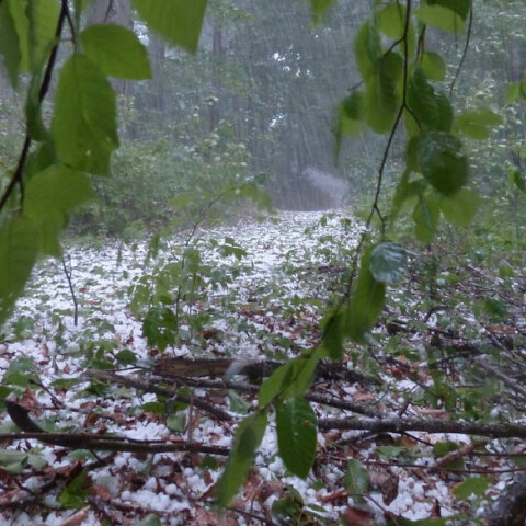 Χαλαζόπτωση (ΦΩΤΟ ΑΡΧΕΙΟΥ) - Στο Έβρο έριξε χαλάζι, την ώρα που πύρινα μέτωπα μαίνονται σε Αττική, Ηλεία, Φωκίδα και Εύβοια