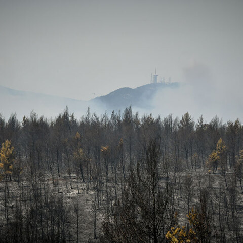 Καμένα στρέμματα από τη φωτιά στην Αττική