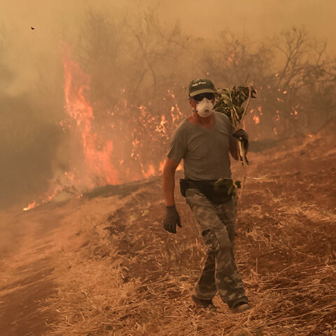 Σε πύρινο κλοιό η Εύβοια, μαίνεται η φωτιά στο βόρειο τμήμα, με πυροσβέστες να καταβάλουν υπεράνθρωπες προσπάθειες για να την περιορίσουν