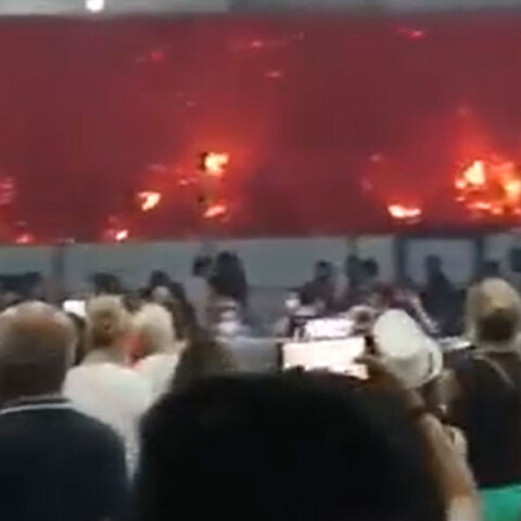 Φωτιά στην Εύβοια - Κάτοικοι στο φέρι μποτ έχουν εκκενώσει τα σπίτια τους και αντικρίζουν τις φλόγες να έχουν κατέβει την πλαγιά, φθάνοντας μέχρι την παραλία