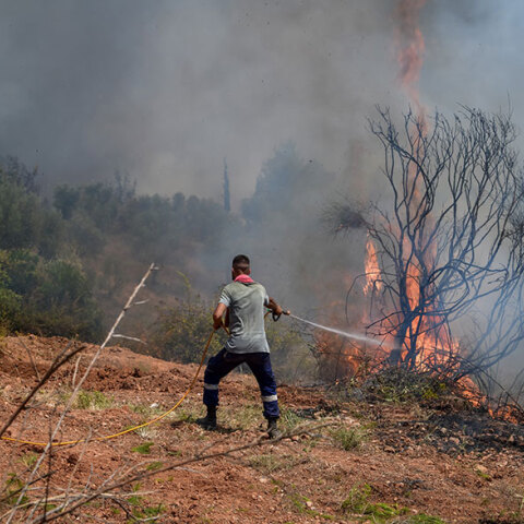Φωτιά στην Ηλεία: Πυροσβέστης ρίχνει νερό με τη μάνικα σε πυρκαγιά