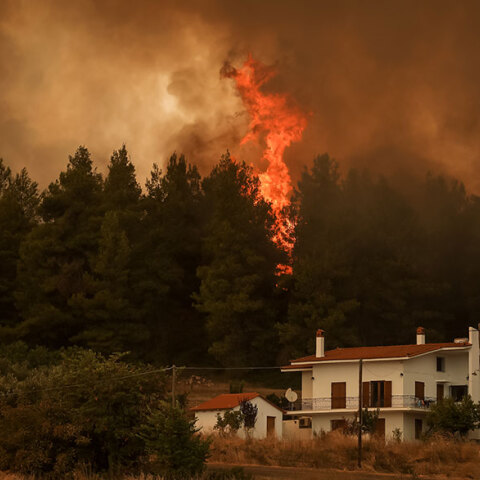 Φωτιά στην Εύβοια - Πολύ υψηλός και σήμερα Σάββατο 7 Αυγούστου 2021 ο κίνδυνος πυρκαγιάς στην Περιφερειακή Ενότητα